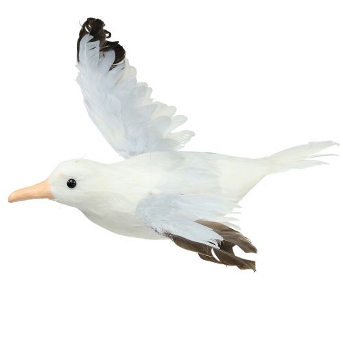 Fliegende Holz Möwe Deko Basteln 3-50cm 