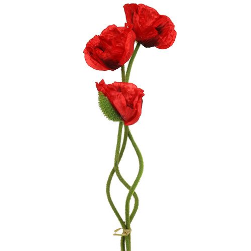 Mohnblume Rot 58cm - 74cm 3 St