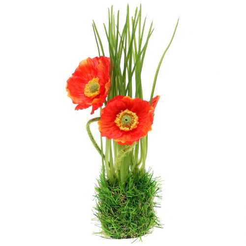 Floristik24 Mohn Rot im Gras 23cm