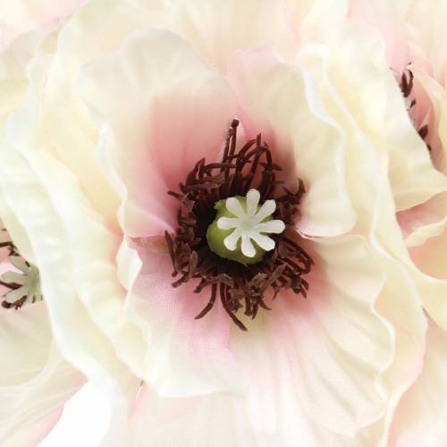Floristik24 Mohnblume Weiß, Rosa 29cm 6St