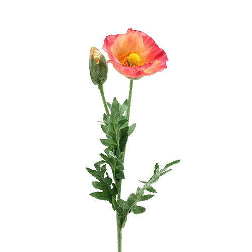 Floristik24 Künstlicher Mohn Pink, Gelb 74cm