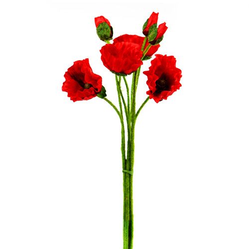 Floristik24 Mohnblumen Rot Ø7cm L48cm 4St