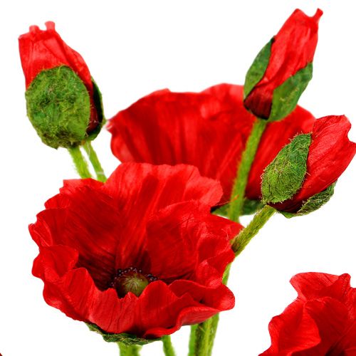 Floristik24 Mohnblumen Rot Ø7cm L48cm 4St