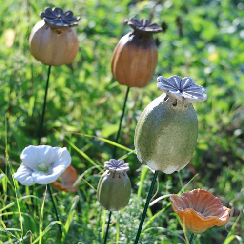 Artikel Mohnkapsel Gartenstecker Dekorationen für charmante Gartenarrangements 60cm 2St