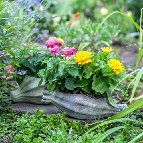 Floristik24 Mohnkapsel zum Bepflanzen, Betondeko, Pflanztopf, Gartendeko L29,5cm