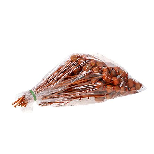 Floristik24 Mohnköpfe gefärbt orange 100 St
