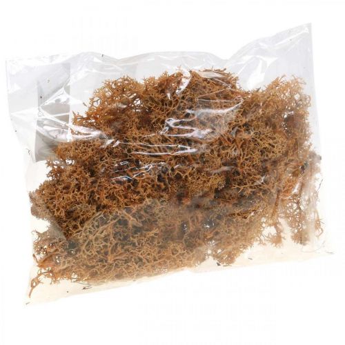 Artikel Deko Moos zum Basteln Orange Gefärbtes Naturmoos konserviert 40g