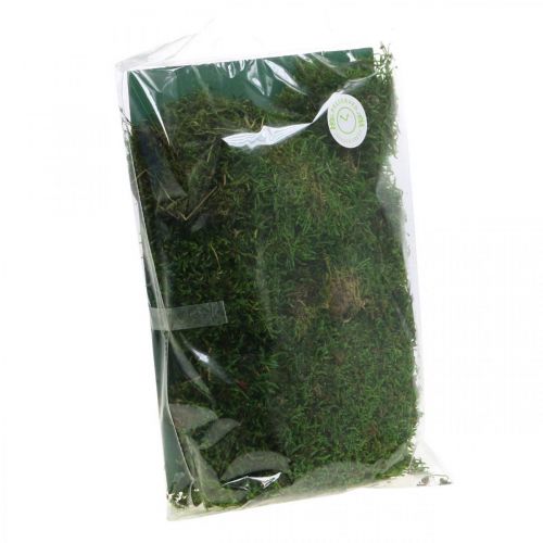 Floristik24 Deko-Moos zum Basteln Grün, Dunkelgrün 100g