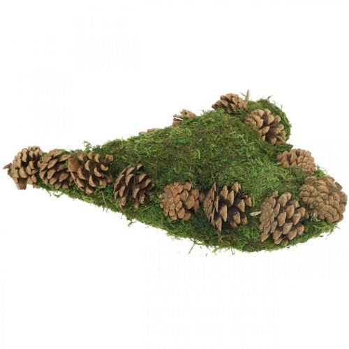 Floristik24 Grabschmuck Herz Moos und Zapfen Gesteckunterlage 30×19cm
