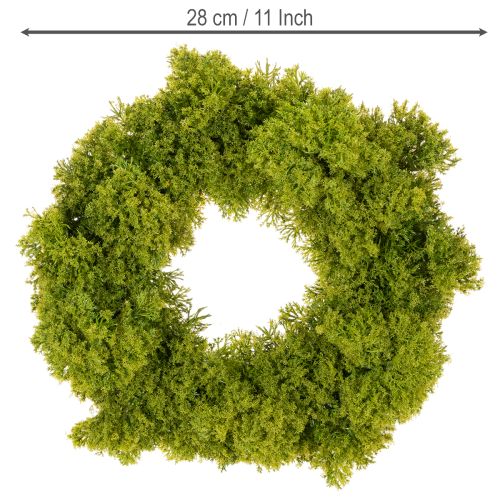 Mooskranz künstlich grün 28 cm für Tür und Tischdekoration | Floristik24.at