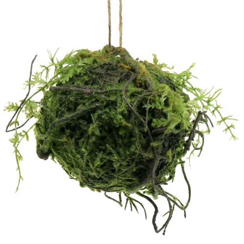 Floristik24 Mooskugel Kokedama künstlich Grün Ø13cm