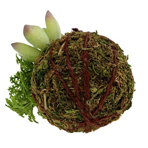 Floristik24 Kokedama Künstlich Grün Ø8cm