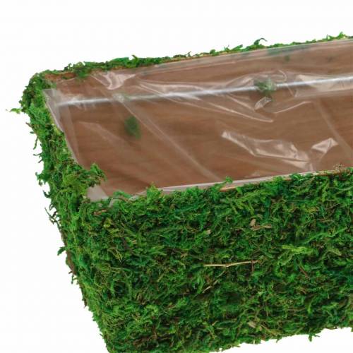 Floristik24 Pflanzgefäß Moos Grün 20×10cm H9cm