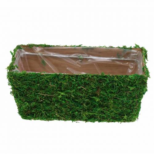 Floristik24 Pflanzgefäß Moos Grün 20×10cm H9cm