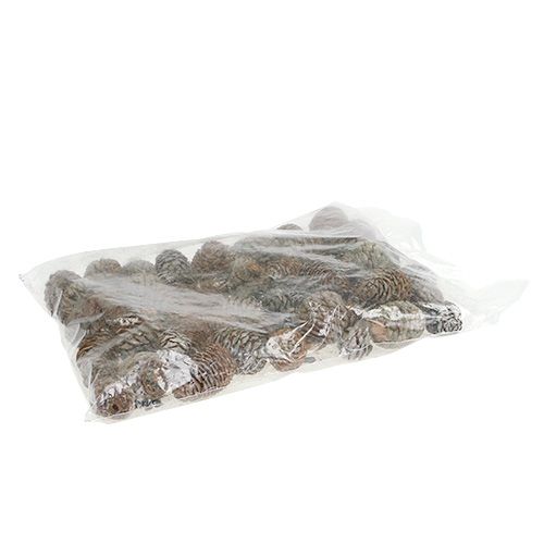 Floristik24 Murii Zapfen Natur 500g