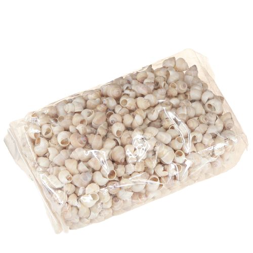 Artikel Muschel Umachi 500g