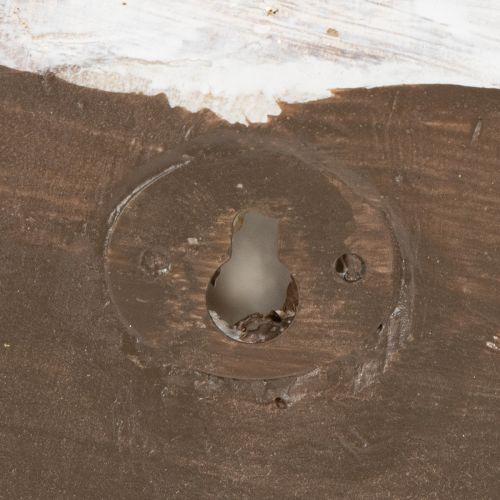 Artikel Dekogefäß in Schneckenform für maritime und natürliche Wandgestaltung grau 21cm