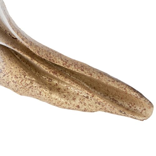 Artikel Dekorative Muschelform für stilvolle maritime Dekoration 44cm