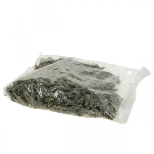 Artikel Naturartikel, Schneckenmuscheln Natur 6–10mm, Meeresdeko 1kg