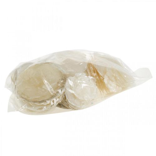 Artikel Stranddeko, Capiz-Muscheln 5–10cm, Naturartikel, Perlmutt, Maritim 1kg