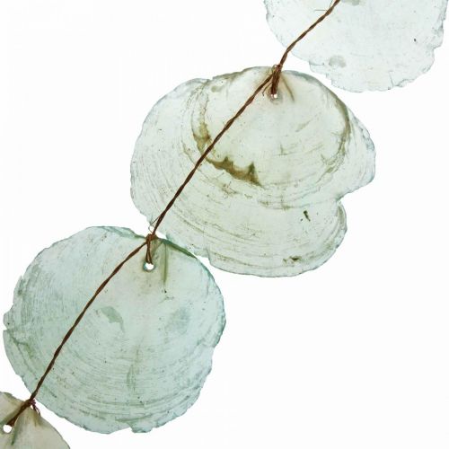 Floristik24 Muschel Deko Capiz Girlande Muschelgirlande Grün 100cm