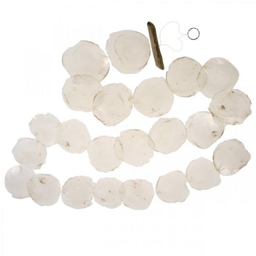 Floristik24 Muschel Girlande Perlmutt Muschelgirlande Capiz 195cm