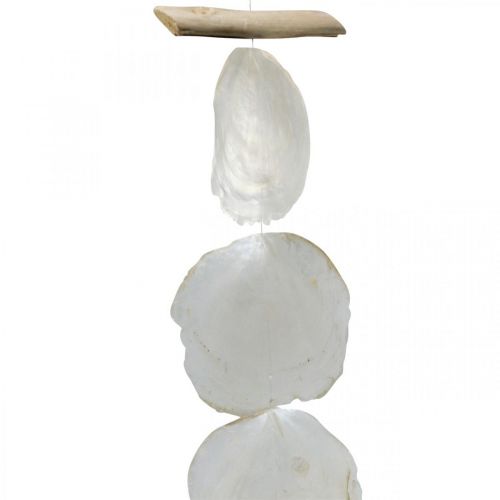 Floristik24 Muschel Girlande Perlmutt Muschelgirlande Capiz 195cm