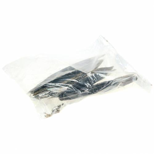 Floristik24 Steckmuscheln Schwarz 24 – 30cm 1kg