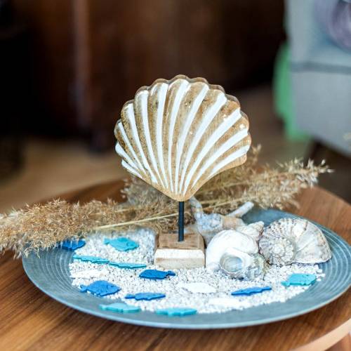 Floristik24 Muschel mit Sockel Holz Weiß, Natur 20×14cm Maritime Deko fürs Wohnzimmer