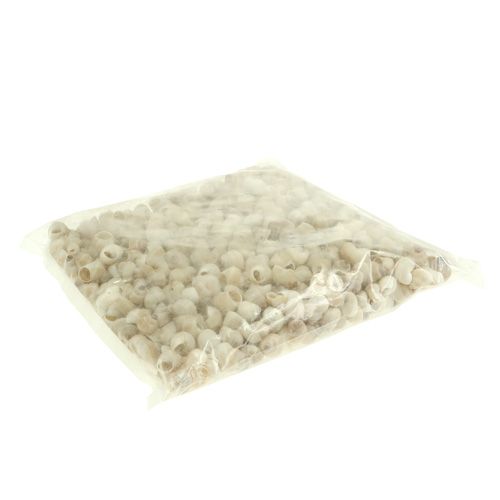 Artikel Muschel Umachi 500g