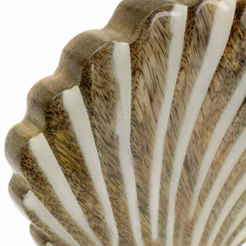 Floristik24 Muschel mit Sockel Holz Weiß, Natur 20×14cm Maritime Deko fürs Wohnzimmer