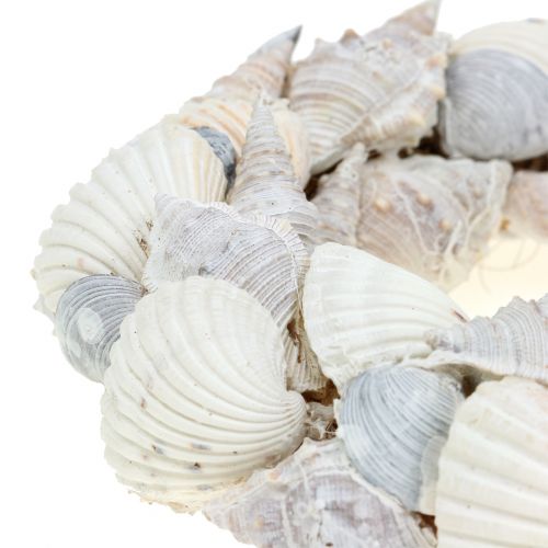 Floristik24 Muschelkranz Weiß Ø14cm