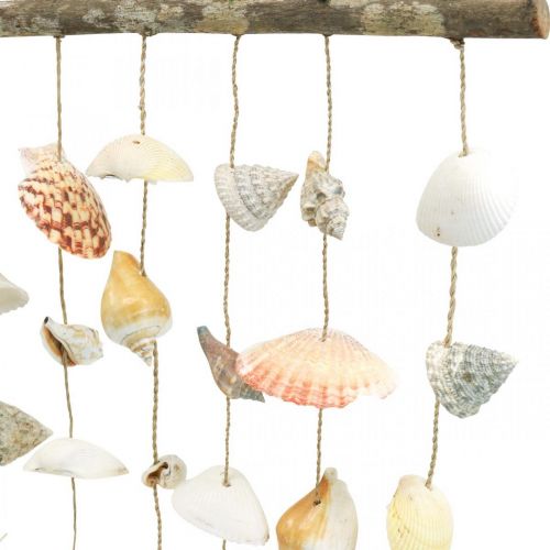 Floristik24 Muschelkette Wanddeko Muscheln Deko Maritim L80cm