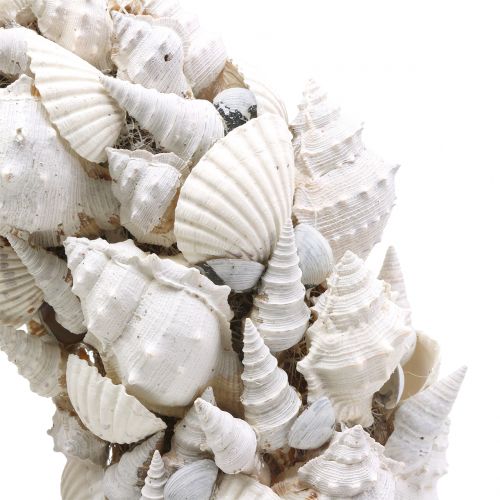 Muschelkranz Weiß Ø30cm