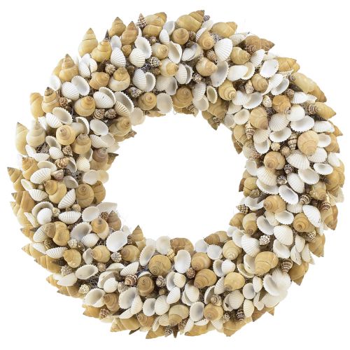 Muschelkranz Muscheln Seeschnecken Natur Weiß Ø35cm