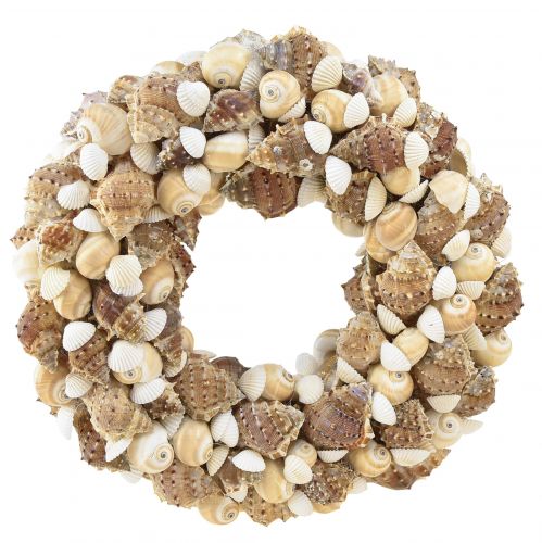 Floristik24 Muschelkranz Schneckenkranz zum Hängen Kokos Natur Ø25cm