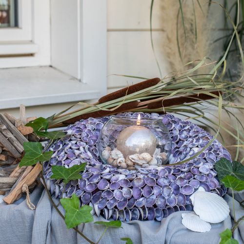 Floristik24 Muschelkranz, natürliche Muscheln, Violett Chippy, Meereskranz Ø40cm