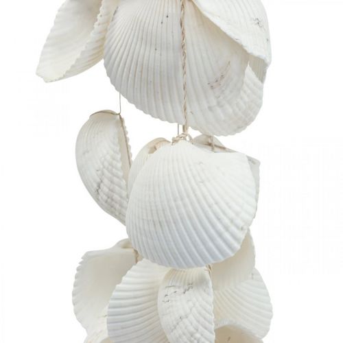 Floristik24 Muscheln Girlande Maritime Deko Muschelgirlande L87cm