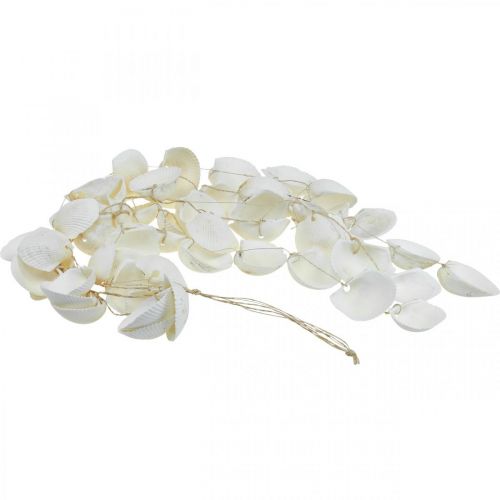 Floristik24 Muscheln Girlande Maritime Deko Muschelgirlande L87cm