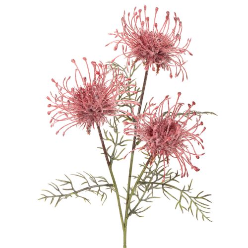 Kunstblume Protea Nadelkissen Blütenzweig Rosa-Grün 65cm 3er-Set