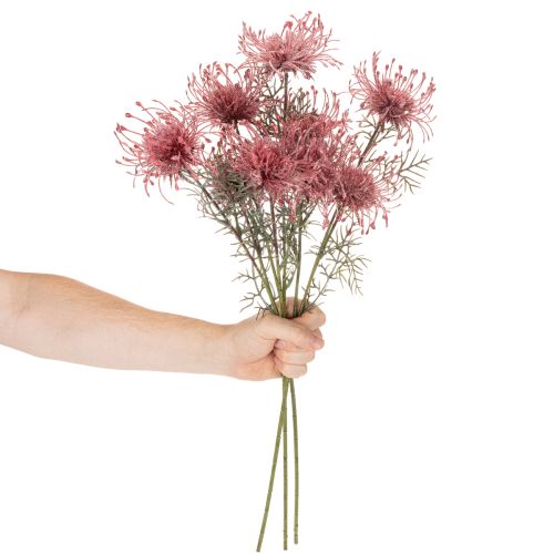 Kunstblume Protea Nadelkissen Blütenzweig Rosa-Grün 65cm 3er-Set | Floristik24.at
