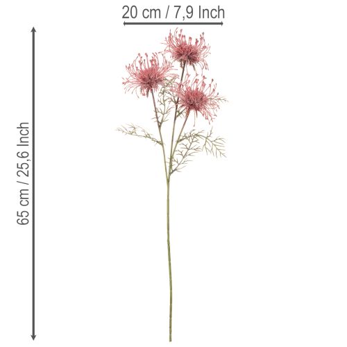 Kunstblume Protea Nadelkissen Blütenzweig Rosa-Grün 65cm 3er-Set | Floristik24.at