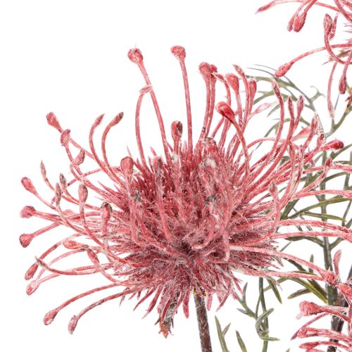 Kunstblume Protea Nadelkissen