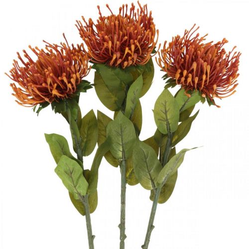 Floristik24 Nadelkissen Exotische Kunstblume Orange Leucospermum Protea 73cm 3St