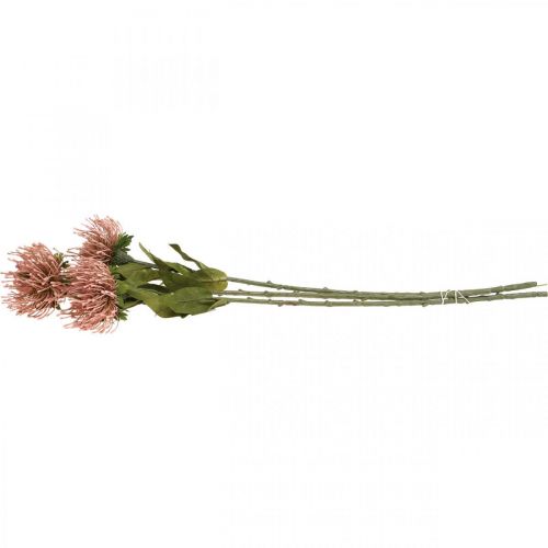 Artikel Herbstblume Nadelkissen künstlich Protea Rosa Leucospermum 73cm 3St