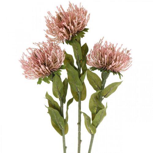 Herbstblume Nadelkissen künstlich Protea Rosa Leucospermum 73cm 3St