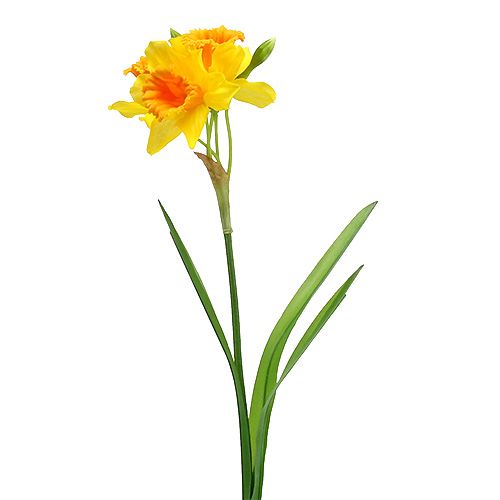 Floristik24 Narzisse Gelb L 40cm