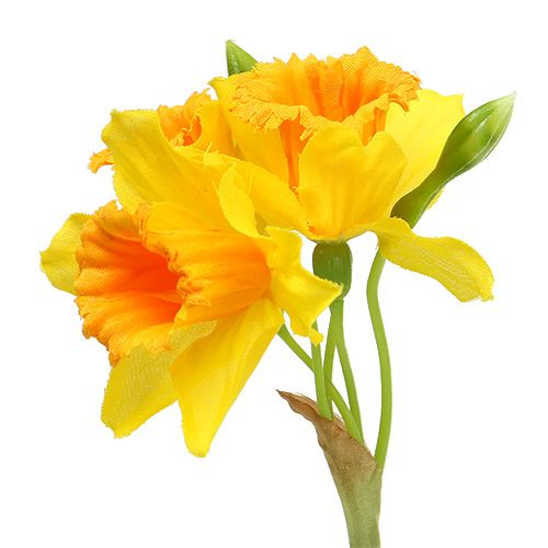 Floristik24 Narzisse Gelb L 40cm