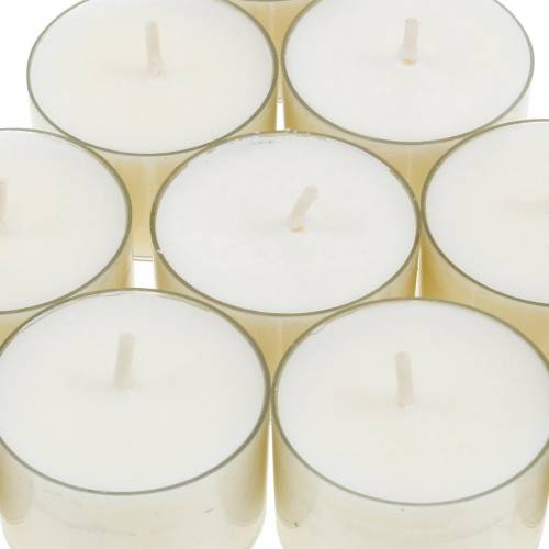 Floristik24 PURE Nature Lights Teelichter Rapswachs Natur Brenndauer 7 Stunden 18 St