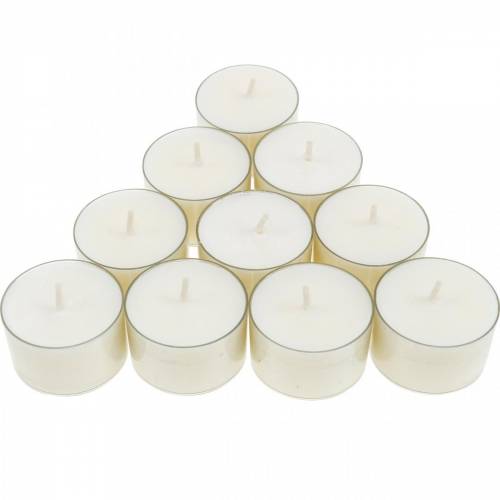 Floristik24 PURE Nature Lights Teelichter Rapswachs Natur Brenndauer 7 Stunden 18 St